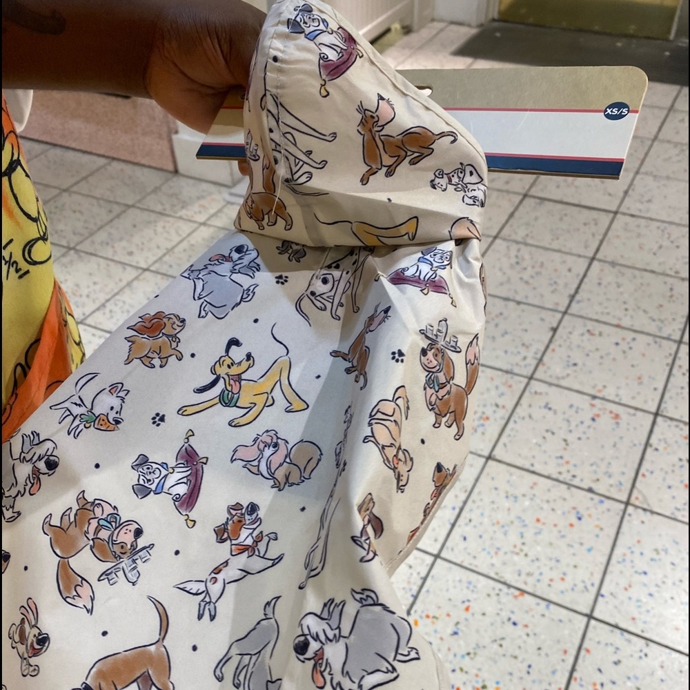 In search of Disneyworld pet raincoat